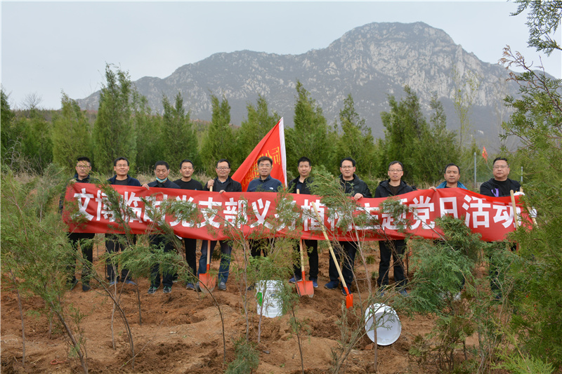 集團公司文博中心項目部臨時黨支部開展義務植樹主題黨日活動